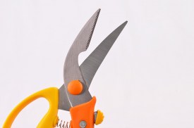 Tijera para trinchar aves en blister (1).jpg